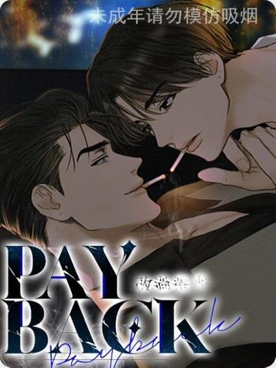 偿还/PAYBACK